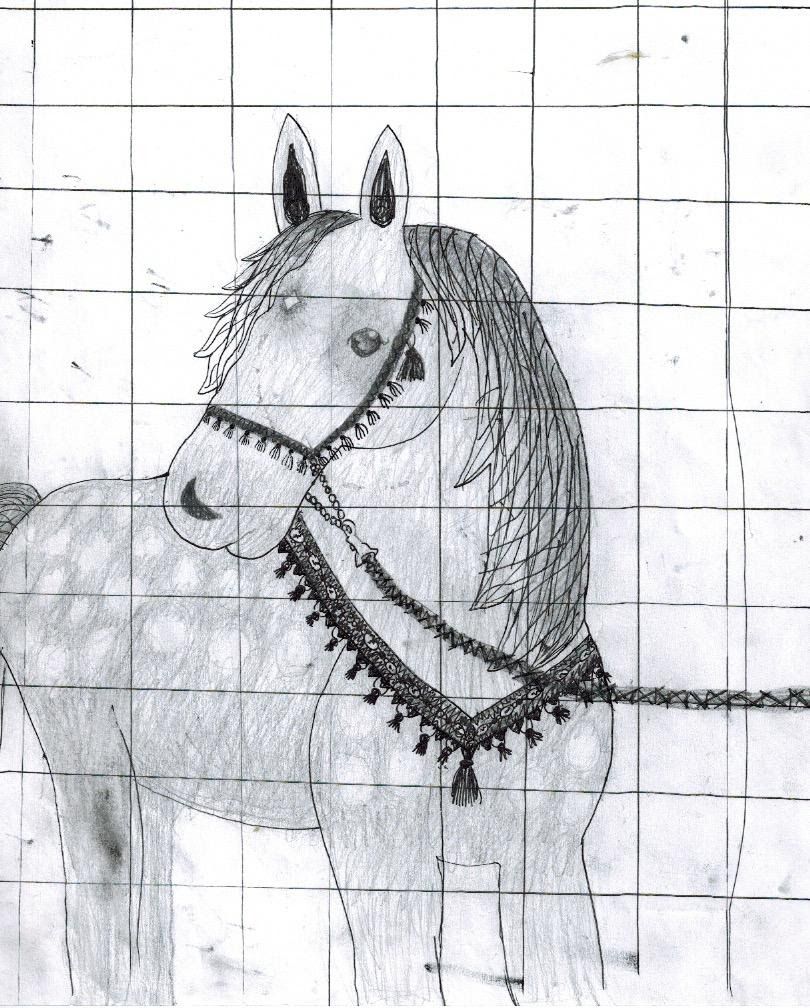 horse with elaborate tasseled collar, rendered in black and white with grid visible in background